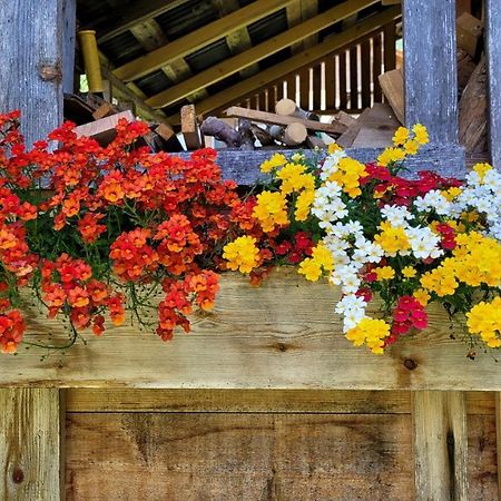 Hotel La Gerla Casa Vacanze Dolomiti Perarolo di Cadore Esterno foto