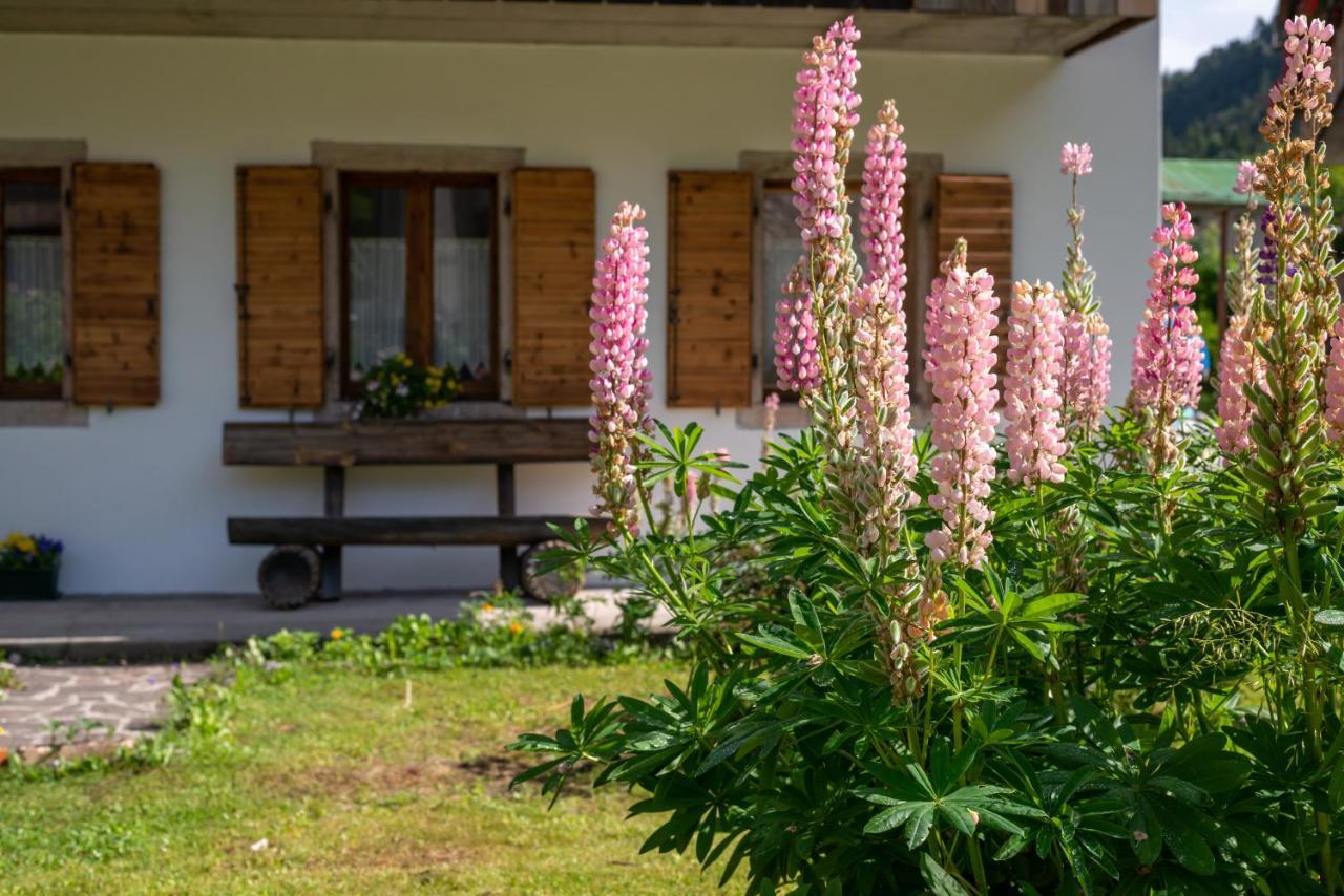 Hotel La Gerla Casa Vacanze Dolomiti Perarolo di Cadore Esterno foto